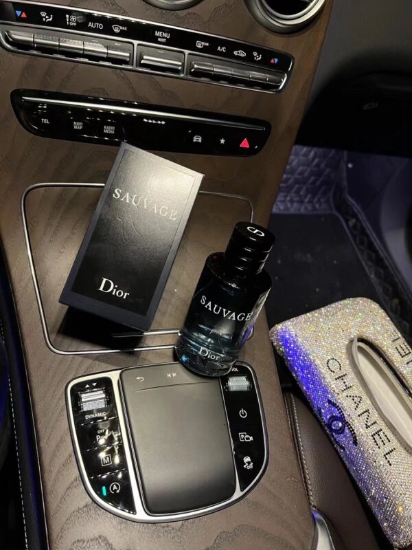 Kakobuy ‌Dior Sauvage Wilderness Eau de Toilette