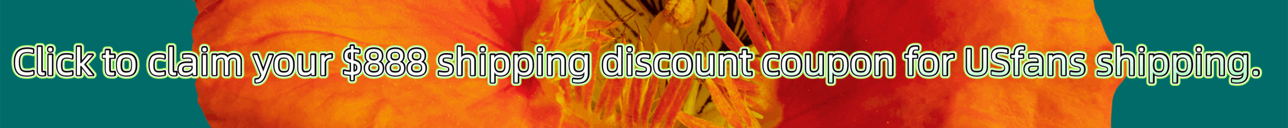 usfans Coupon