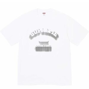 Supreme IMMACULATE Collection White Streetwear T-Shirt