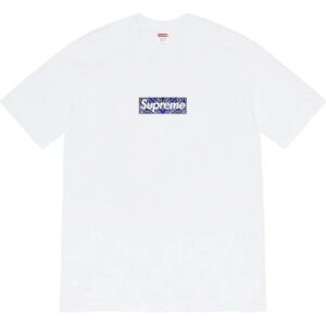 Supreme Box Logo White T-Shirt with Paisley Pattern