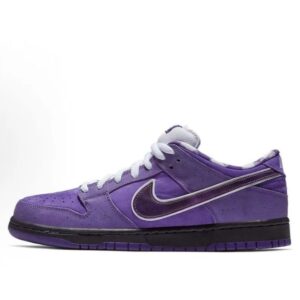 Nike Dunk Streetwear Purple