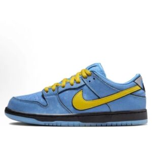 Nike Dunk Skate Blue