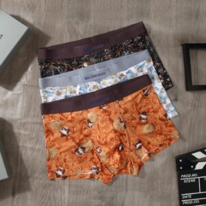 Balenciaga Men's Printed Briefs Collection